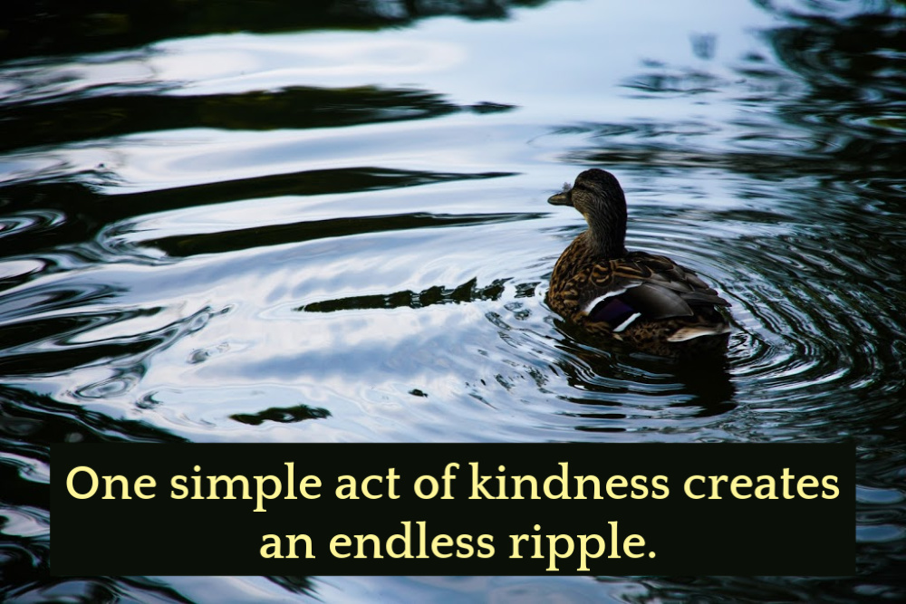 one simple act of kindness creates an endless ripple