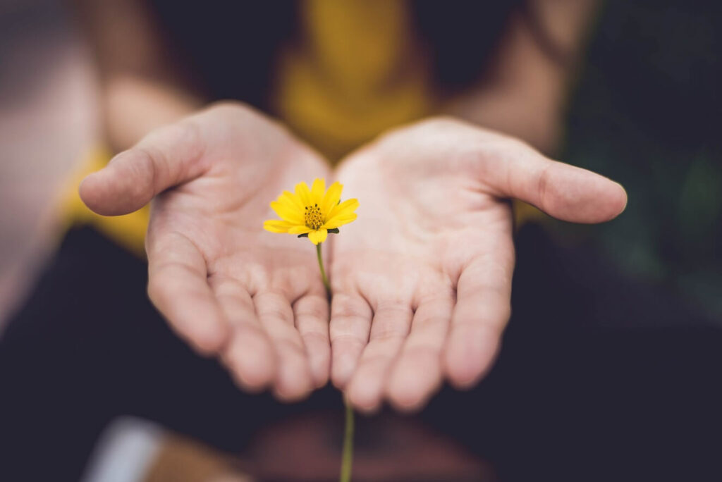 Woman's hands holding a small flower to show Emotional support for autoimmune disease through one-on-one support